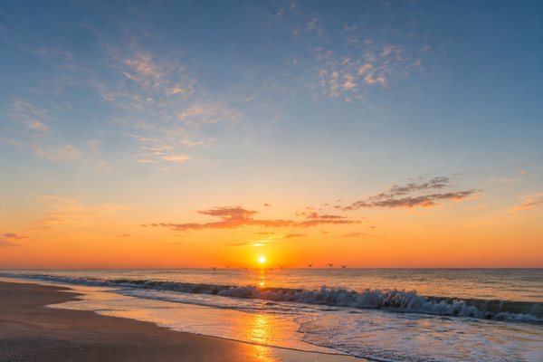 Image for Autumn Adventures on the Beach